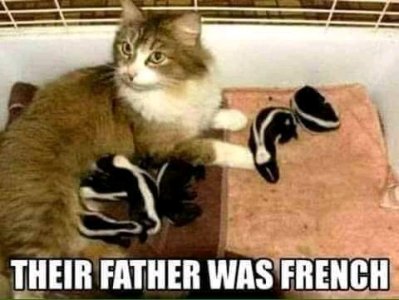 FB_IMG_16166344069918377.jpg