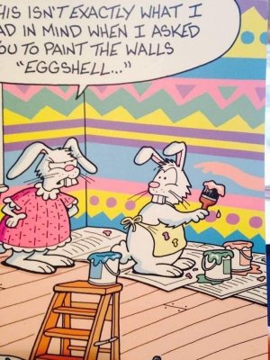 eggshell.jpg