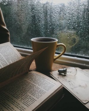 morningrain.jpg morningrain.jpg