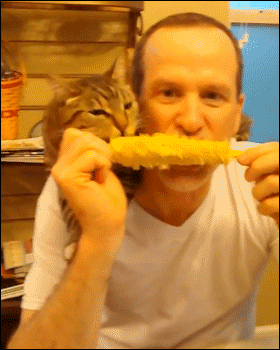 giphy (3).gif giphy (3).gif