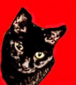 Photo Effects _ PhotoMania_ Free Online Photo Effects, Filters & Fun Photos.jpg