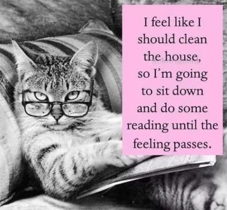 cleanreading.jpg