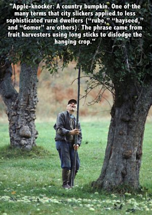 Apple-Knocker.jpg