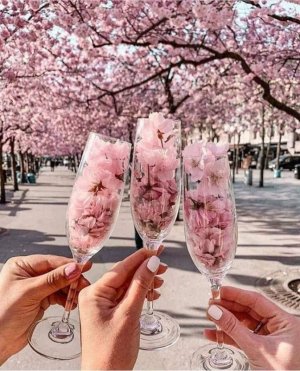 spring toast.jpg