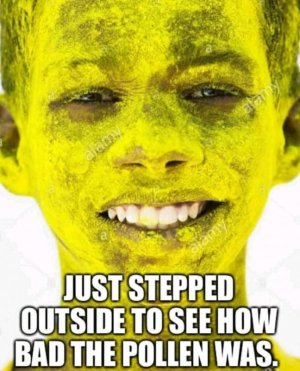 166481048_3816099278485283_1530354750379780640_o[1].jpg