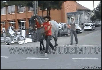 299579de9808632bd8b1c19a7f4e14a6.gif