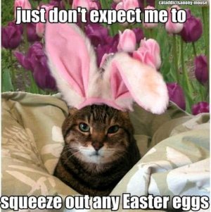 FB_IMG_16169944893299556.jpg