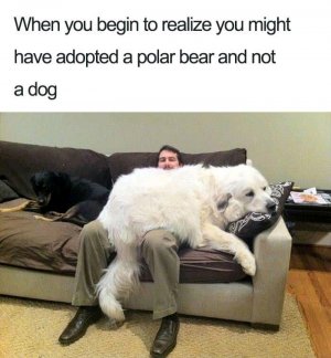 FB_IMG_16169946077365380.jpg
