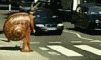 giphy-downsized.gif