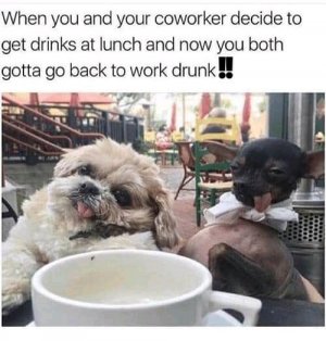 FB_IMG_16170537693898367.jpg