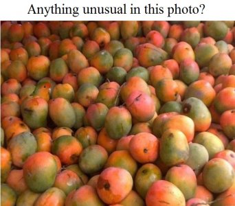 mangos.jpg