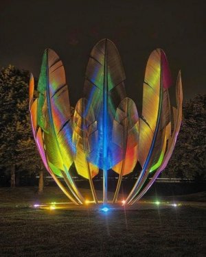 feathers.jpg