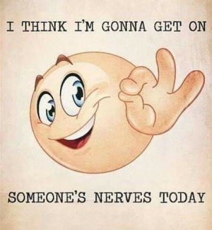 166876843_3892888994124627_339372078017055199_n[1].jpg
