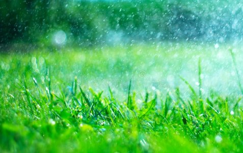 grass-rain-drops-watering-lawn-blurred-green-background-water-closeup-nature-environment-conce...jpg