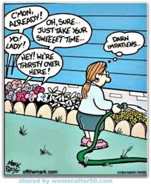impatiens.jpg