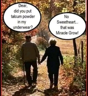 FB_IMG_16171715142097240.jpg