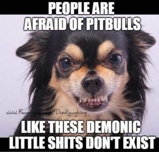 demonic.jpg