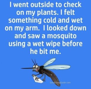 AE7D3C68-4042-4363-AD43-4F16BC725A56.jpeg
