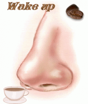 Smell-The-Coffee-Good-Morning-wg0181065.gif