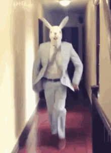 tenor (9).gif