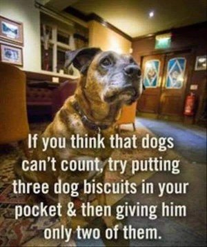 dogscantcount.jpg