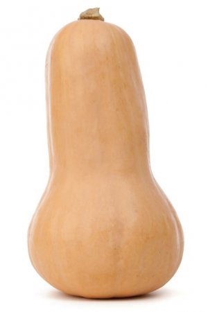 ButternutSquash.jpg