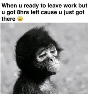 FB_IMG_16174281236447222.jpg