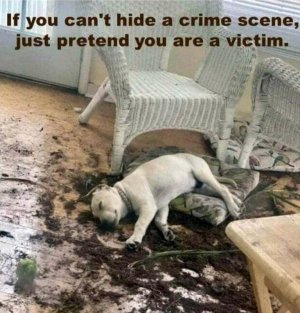 FB_IMG_16174289586990698.jpg