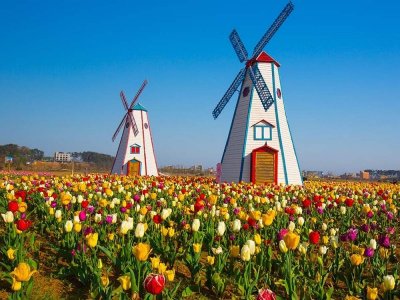 american-spring-destinations-michigan.jpg