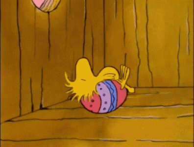 6d62b7f5057b35374f2e5aac83f2da3e[1].gif