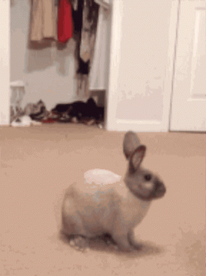 126dd0f576a2859da609022f229b5128.gif