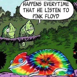 pinkfloyd.jpg