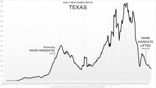 texas covid stats.jpg