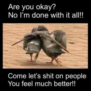 FB_IMG_16174349824949526.jpg
