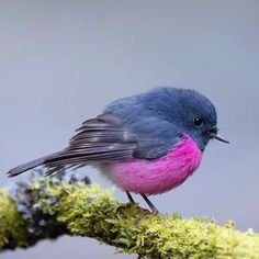 c74d154523a367f899f6d0a1de0055b3[1].jpg