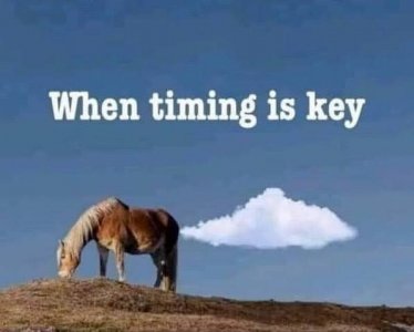 timing.jpg