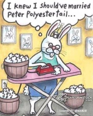 FB_IMG_16175003709966350.jpg
