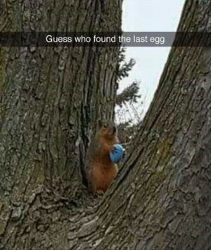 168478778_788471138451142_6717112824777094466_n[1].jpg