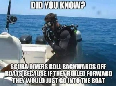 209B5E90-9496-41B6-B60E-3922F144872D.jpeg