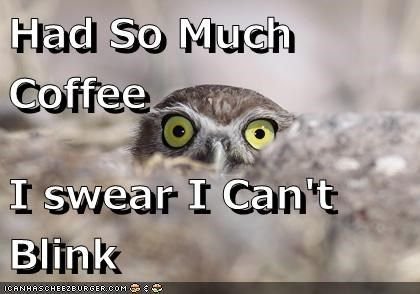 491cc19e30c279f92c05da0f7dea6518[1].jpg