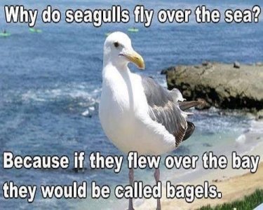 7C00E0C7-181A-4092-A26D-709E806A1FDB.jpeg