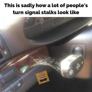 164923889_2347460265395454_7924447246207272933_n[1].jpg