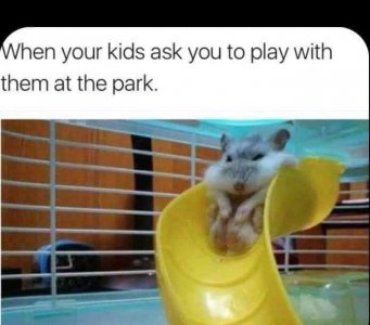 168471395_561497481919386_602736674953201993_n[1].jpg