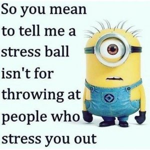 Best-Sarcastic-Memes-17.jpg