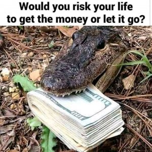 FB_IMG_16179225160845696.jpg
