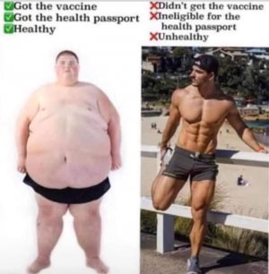 vaccine passport 2.jpg