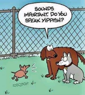 FB_IMG_16179425135225466.jpg