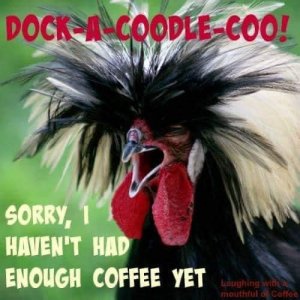 06D9142F-5CD7-47BF-BC30-78A4B602C79B.jpeg