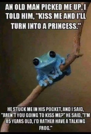 frogggg.jpg