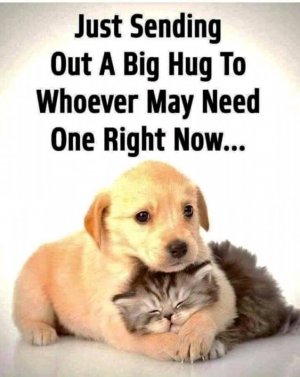 FB_IMG_16180227996038817.jpg